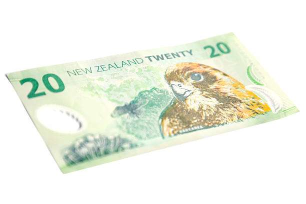Buy Counterfeit New Zealand Dollars Online Buy Counterfeit New Zealand Dollars Online