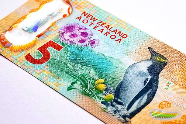 Buy Counterfeit New Zealand Dollars Online Buy Counterfeit New Zealand Dollars Online